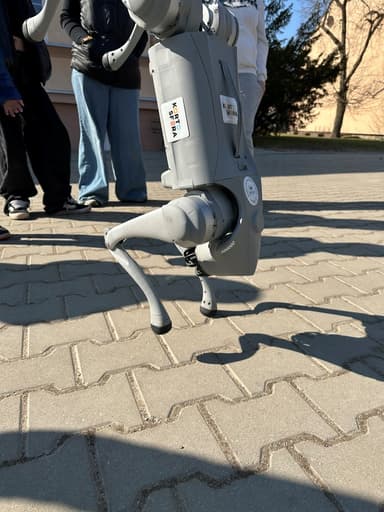 Robot-pies Sferuś